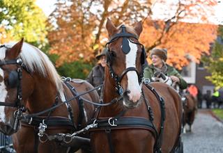 Honden- en paardenzegening 2026 (24).JPG