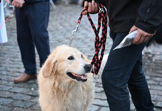 Honden- en paardenzegening 2026 (58).JPG