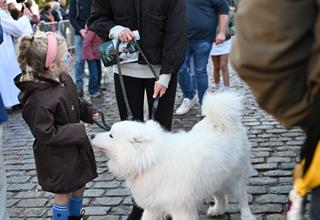 Honden- en paardenzegening 2026 (66).JPG