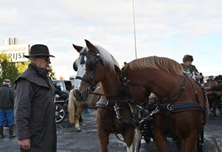Honden- en paardenzegening 2026 (101).JPG