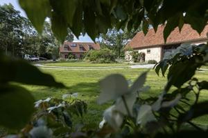 foto: Bootcamp: In contact met je eigen natuur temidden de natuur