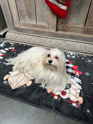 foto: onze mascotte