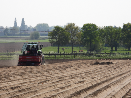 Landbouwer aan het werk rond kievitsnest