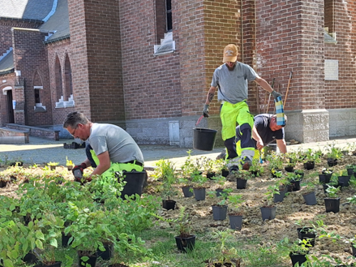 Arbeiders planten planten aan rond een kerk